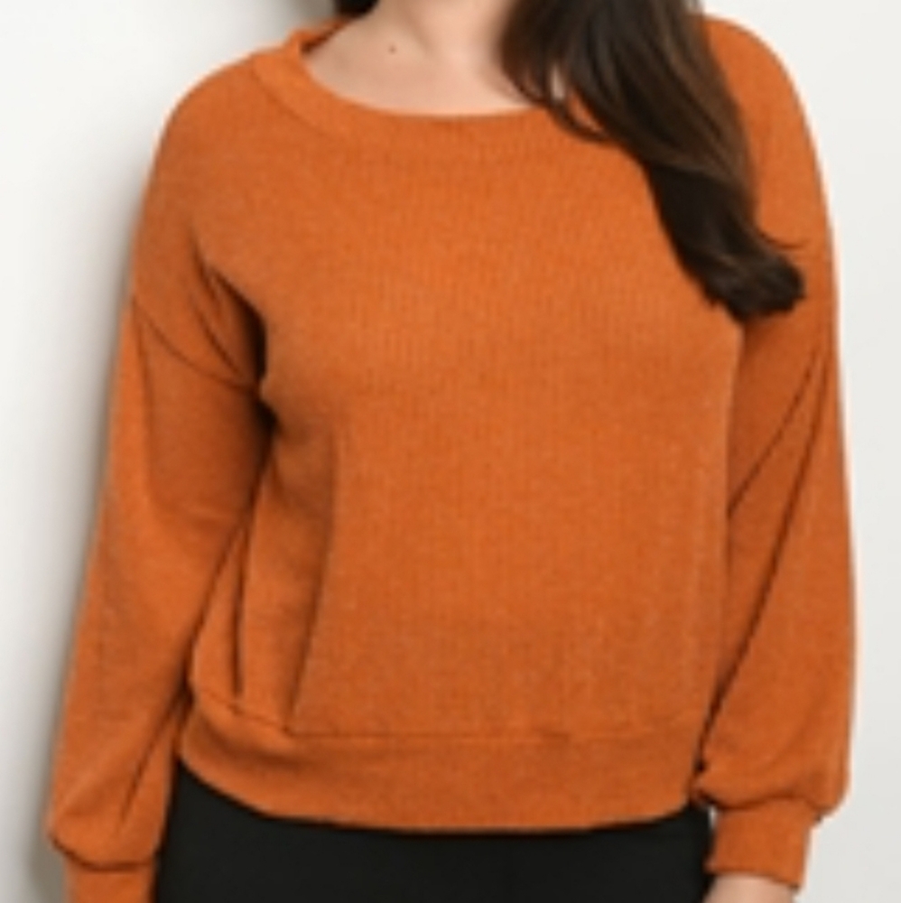 Petite 1X 3X burnt orange textural sweater shirt short